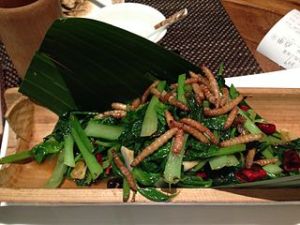 Mealworm_dish_in_a_Yunan_Restaurant,_Qingdao_China